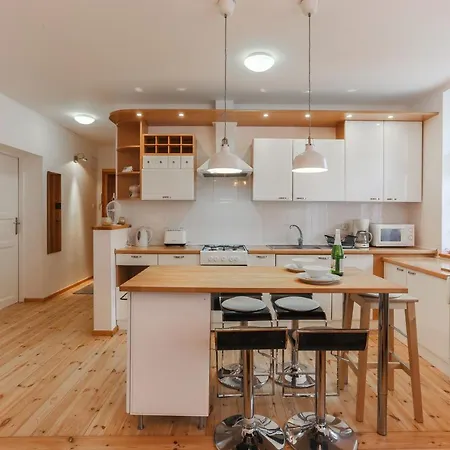 Spacious Sunny In Oldtown Apartment